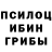 Псилоцибиновые грибы мухоморы Stuart Postma