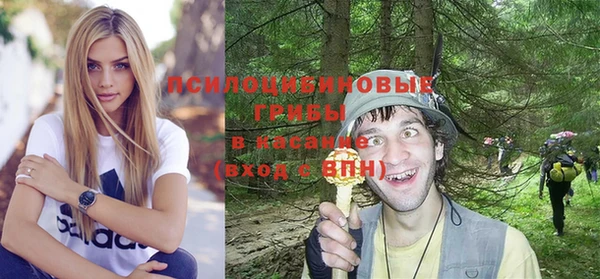 крисы Дмитров