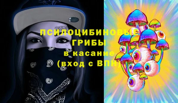 2c-b Дмитриев