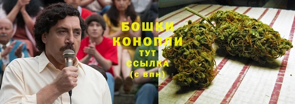 крисы Дмитров