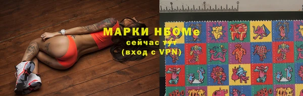 крисы Дмитров