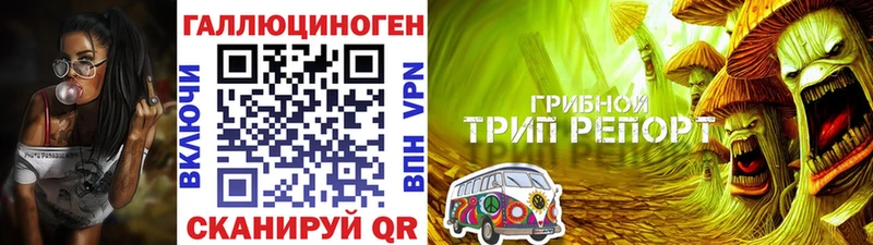 Галлюциногенные грибы прущие грибы  hydra tor  Петровск-Забайкальский  даркнет сайт 